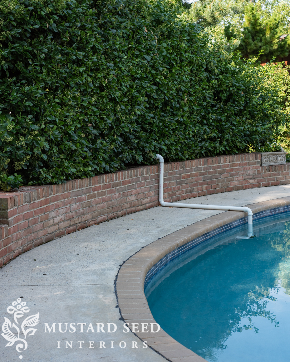 1980 pool renovation | miss mustard seed