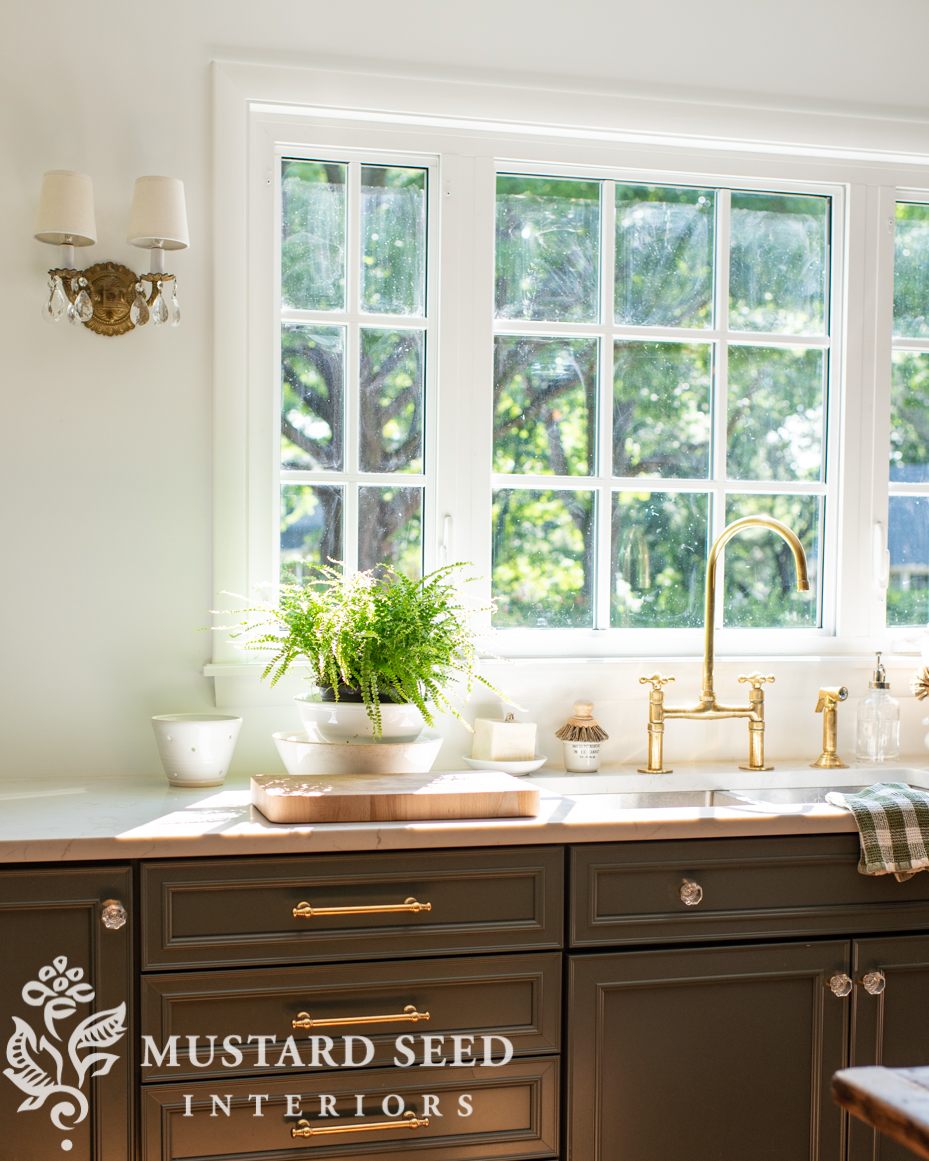 button fern | miss mustard seed