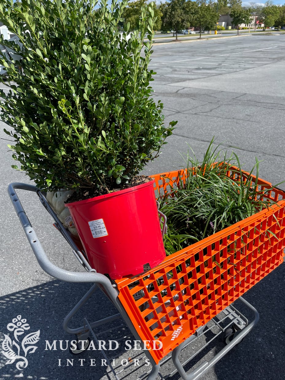 home depot run | miss mustard seed