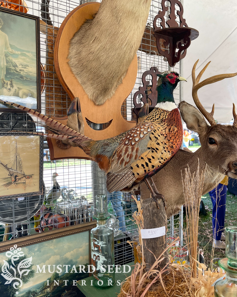 lucketts fall market 2023 | miss mustard seed