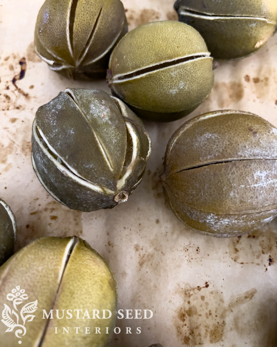 drying whole limes | DIY failure | miss mustard seed