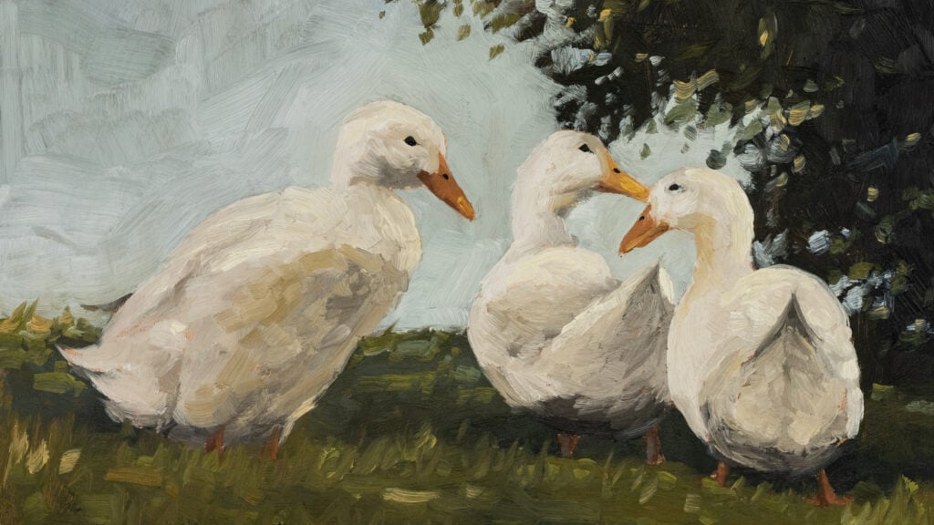 3 Ducks Miss Mustard Seed