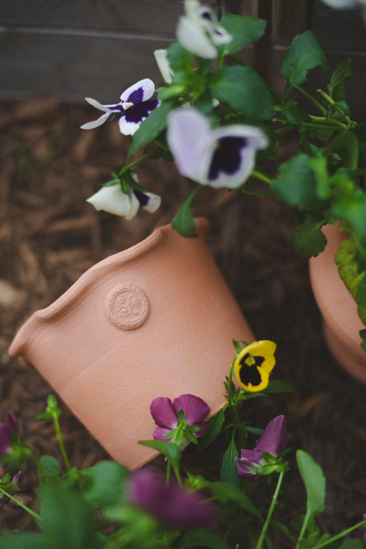Maryfrances Carter | Greta Terracotta Pot 