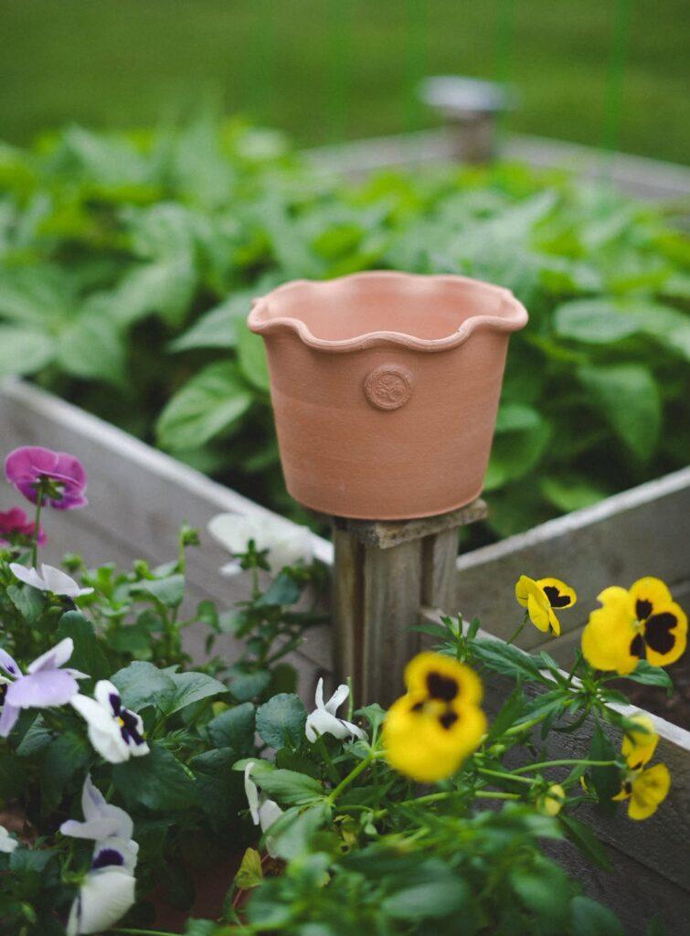 Maryfrances Carter | Greta Terracotta Pot 