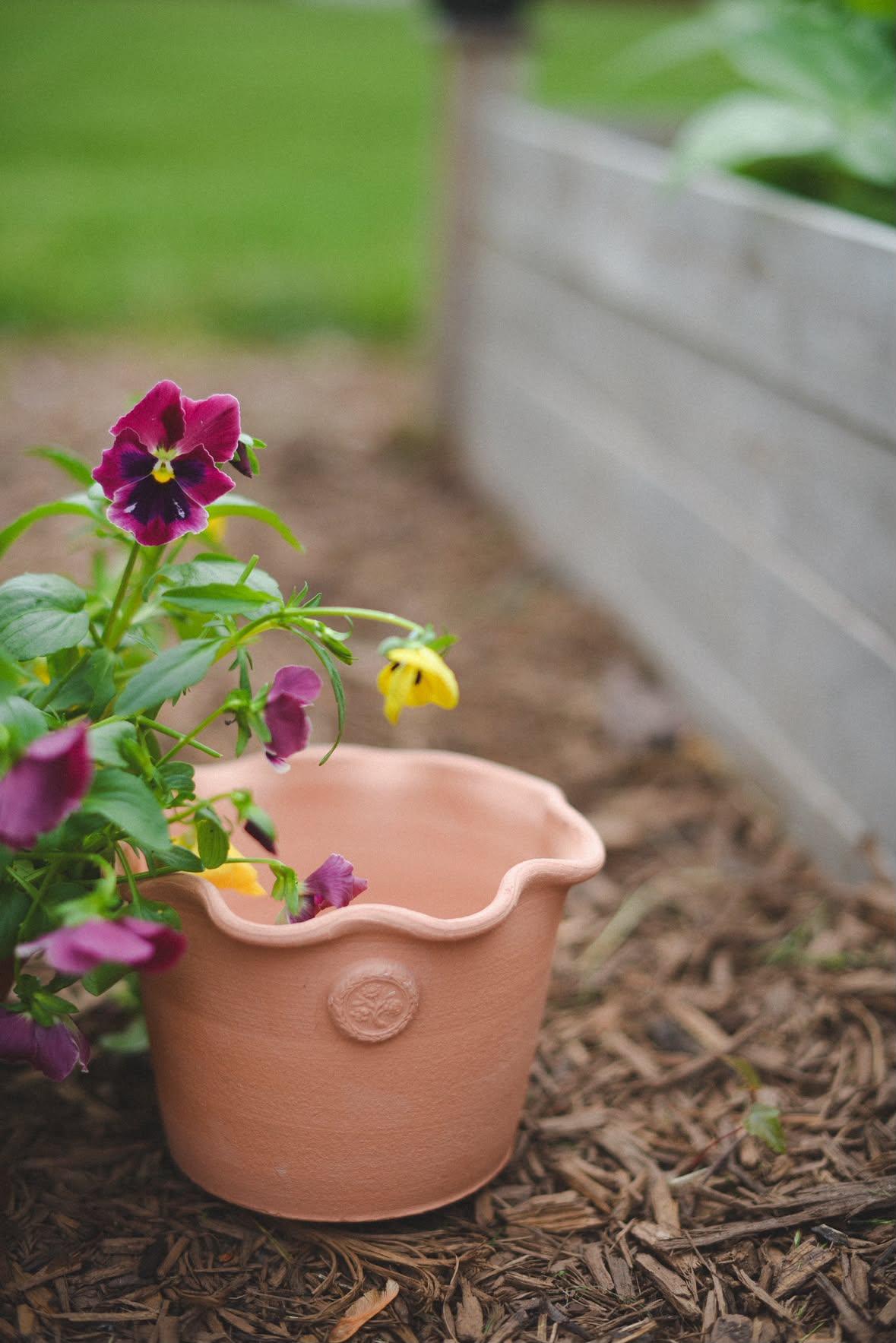 Maryfrances Carter | Greta Terracotta Pot 