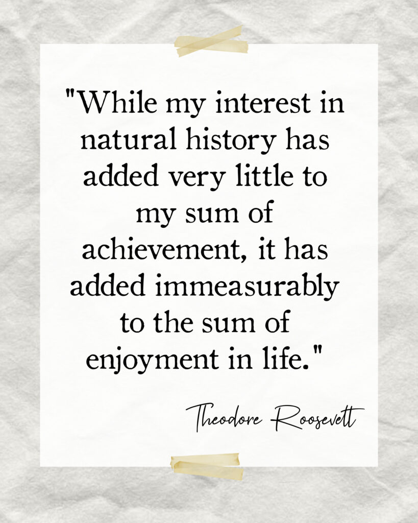 Theodore Roosevelt quote about nature | miss mustard seed