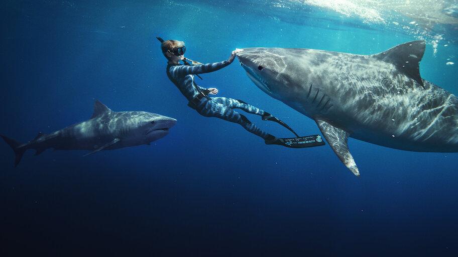 The Shark Whisperer - Netflix