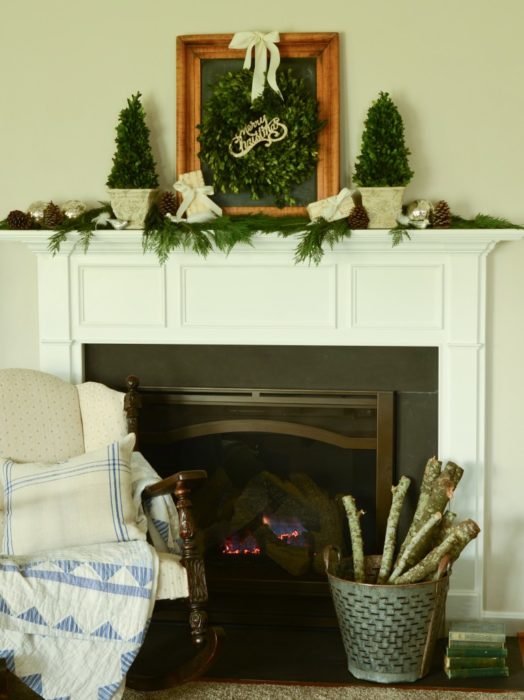 Boxwood Topiary - Beauty Shot 2