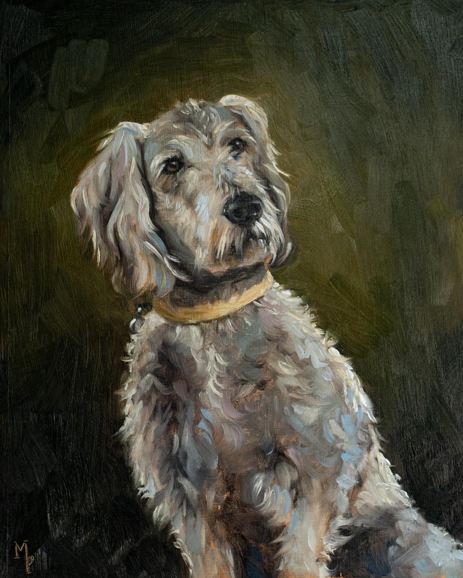 original oil painting dog portrait | marian parsons fine art