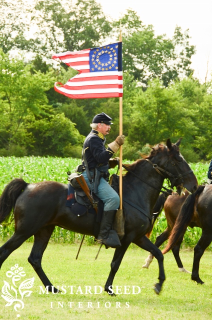 DSC_0935 (424x640)