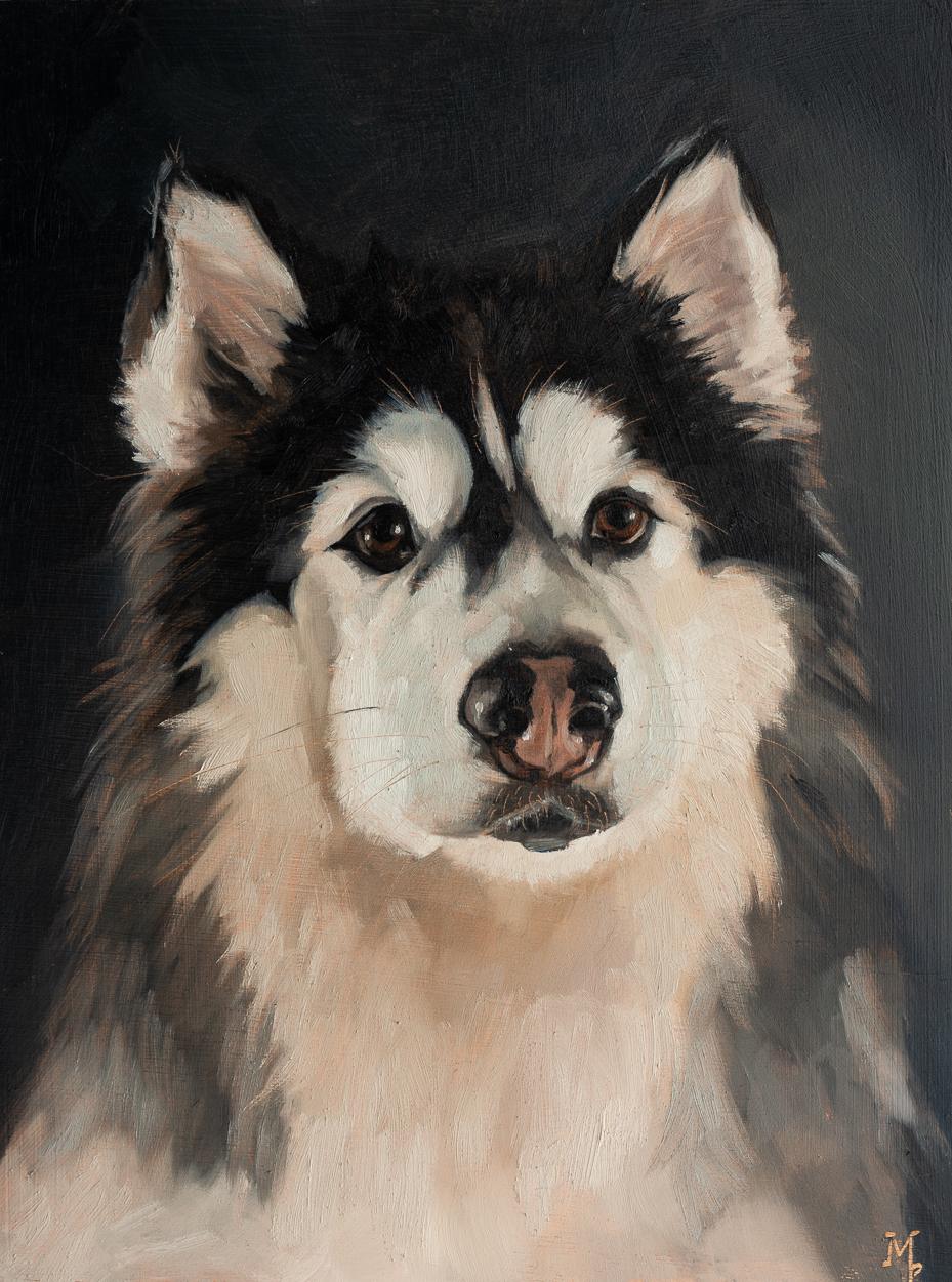 original oil painting | alaskan malamute | marian parsons art pet portraits | miss mustard seed