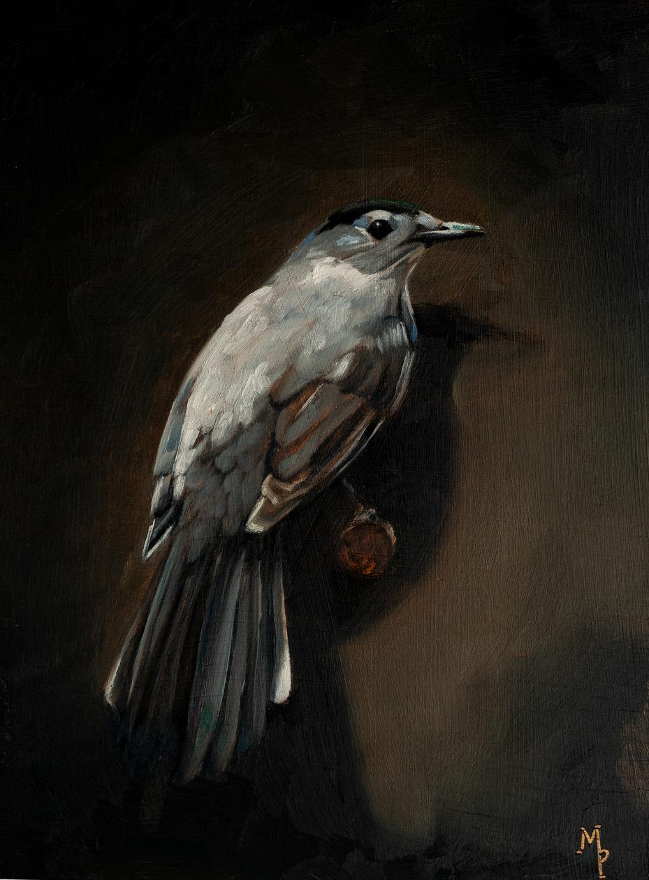 original oil painting | catbird | miss mustard seed