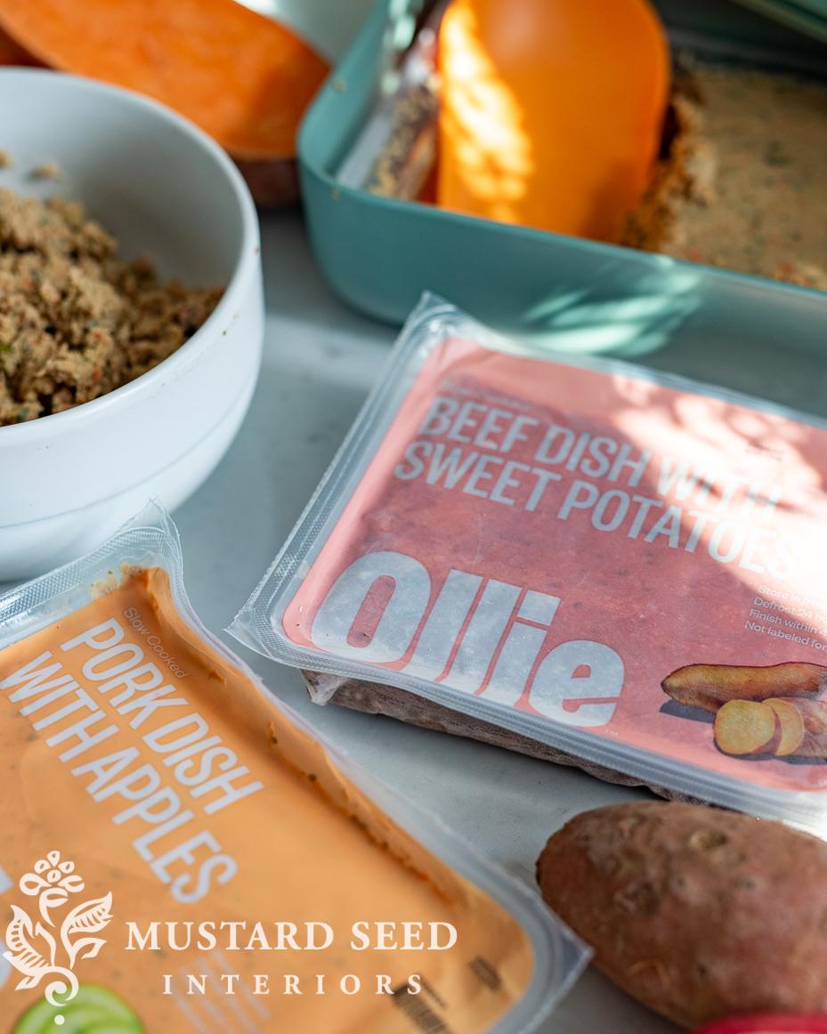 Ollie fresh dog food review | miss mustard seed