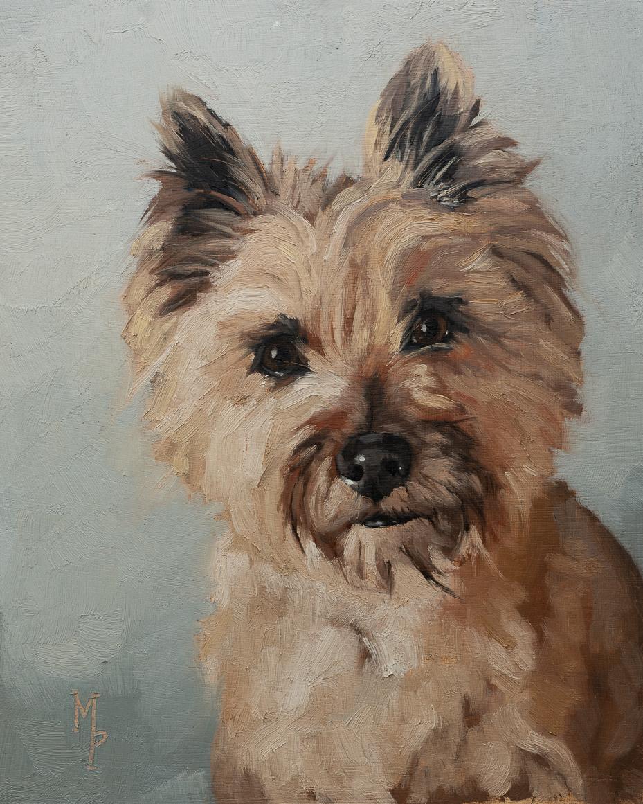 tilly | cairn terrier | original oil painting | marian parsons fine art
