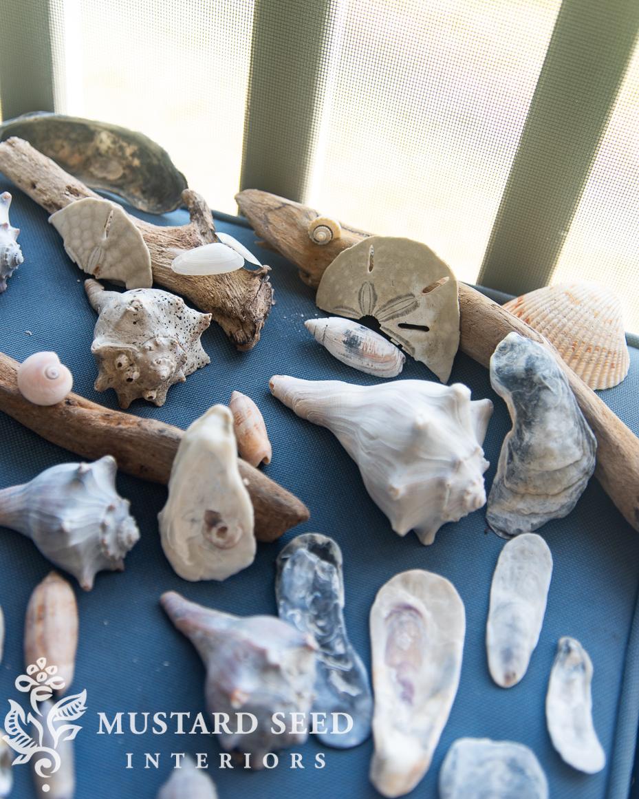 shelling at isle of palms | miss mustard seed