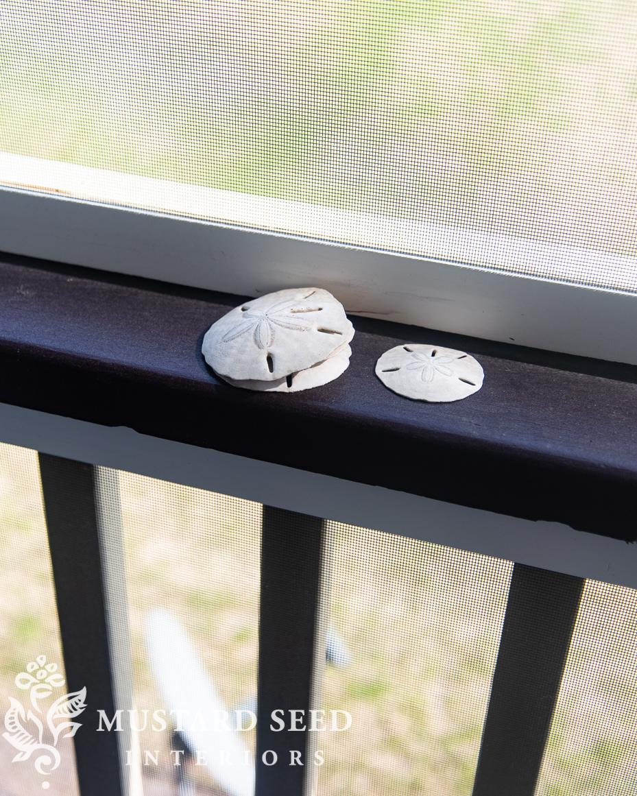 shelling at isle of palms | miss mustard seed