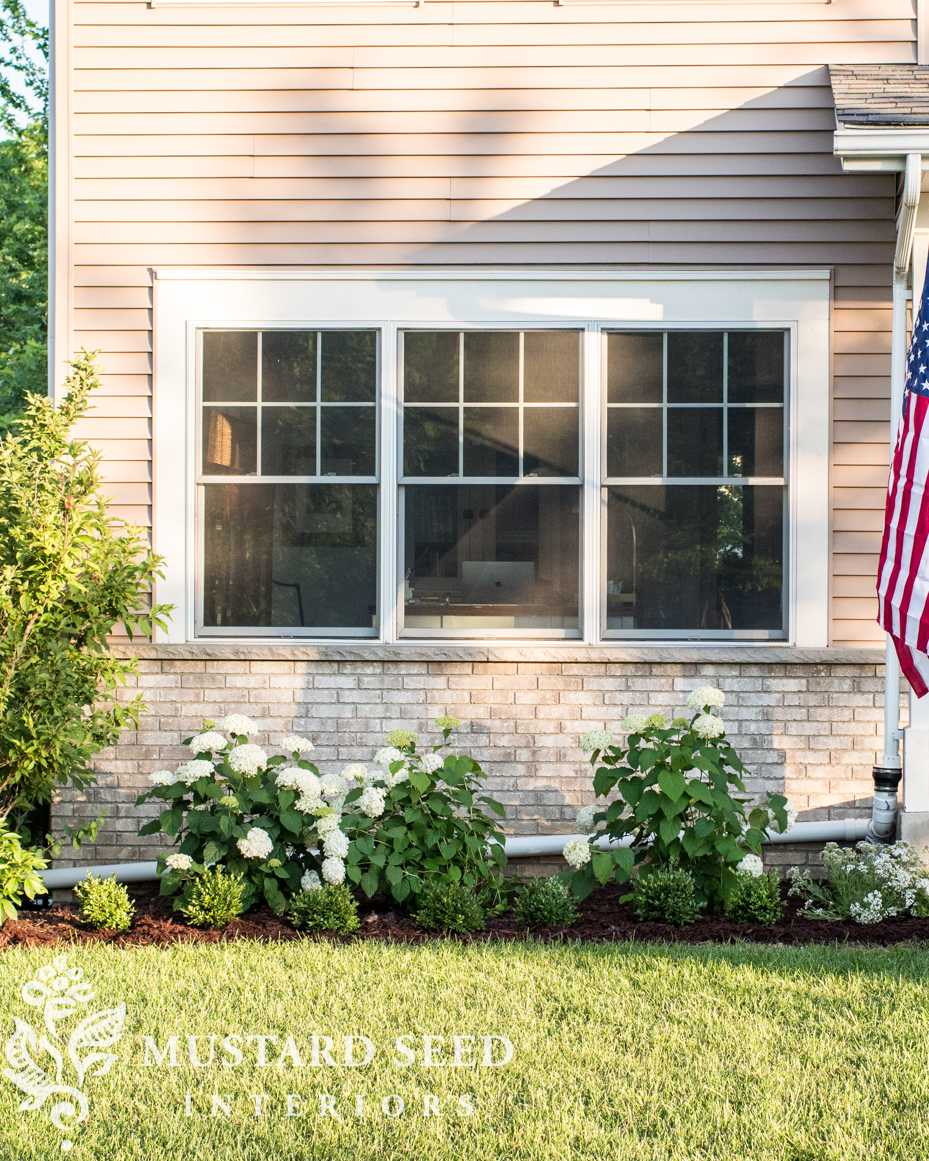 annabelle hydrangeas | miss mustard seed