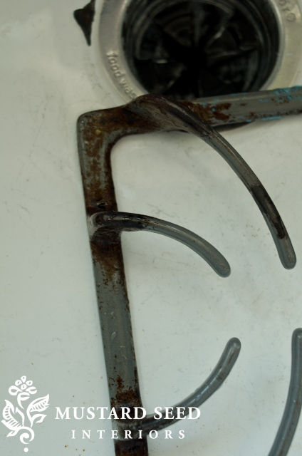 DSC_7087 (424x640)