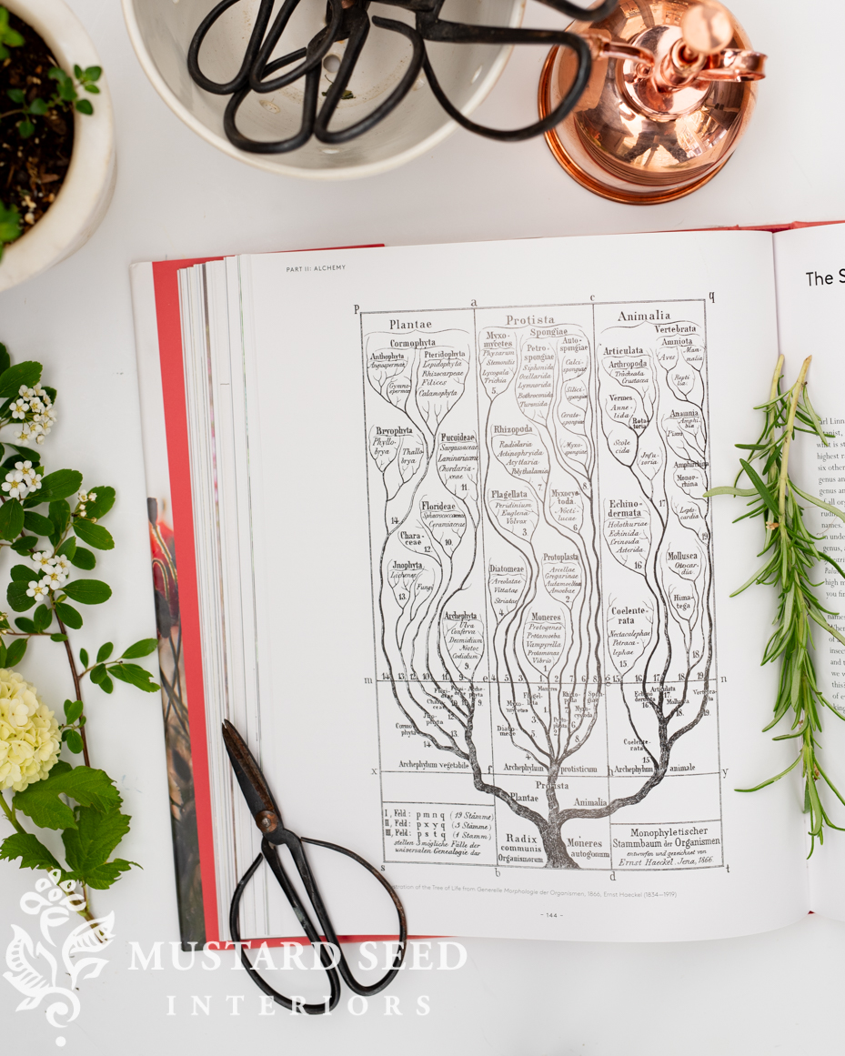 What is a Garden | favorite gardening book | miss mustard seed