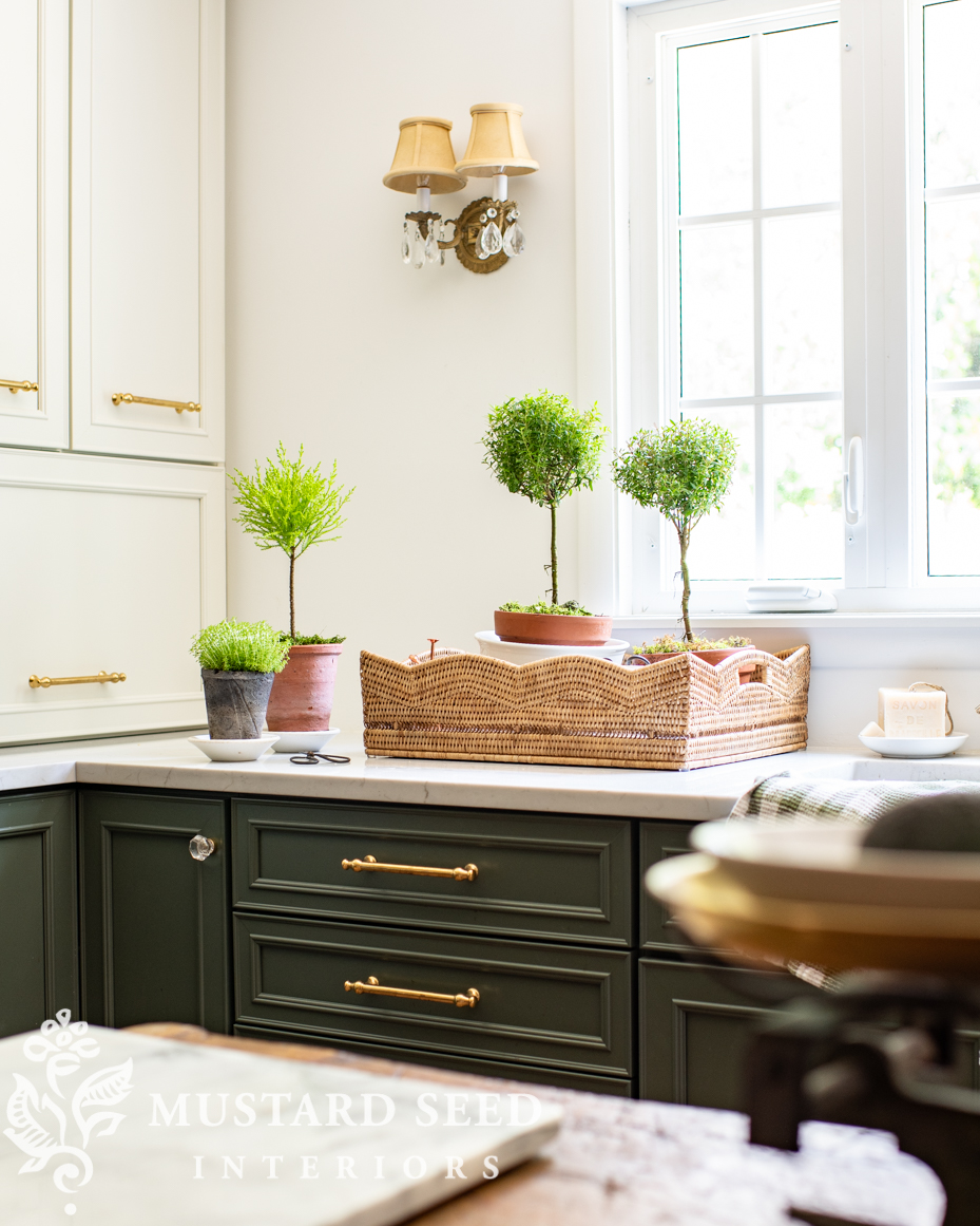 myrtle topiaries | miss mustard seed