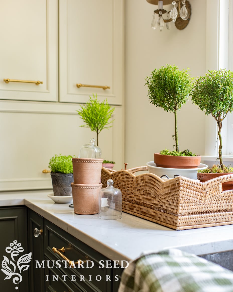 terracotta pots | miss mustard seed