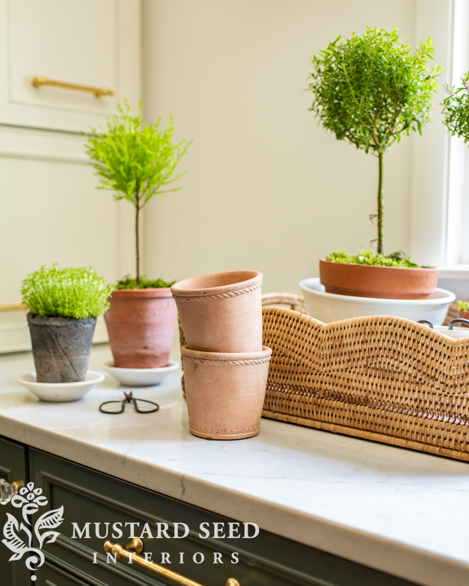 terracotta pots | miss mustard seed