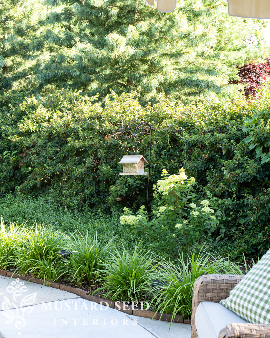 1980 pool renovation | miss mustard seed