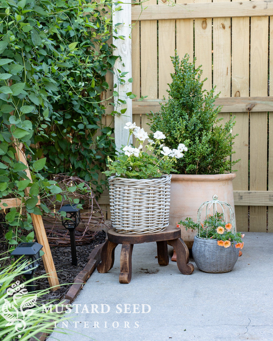 1980 pool renovation | miss mustard seed