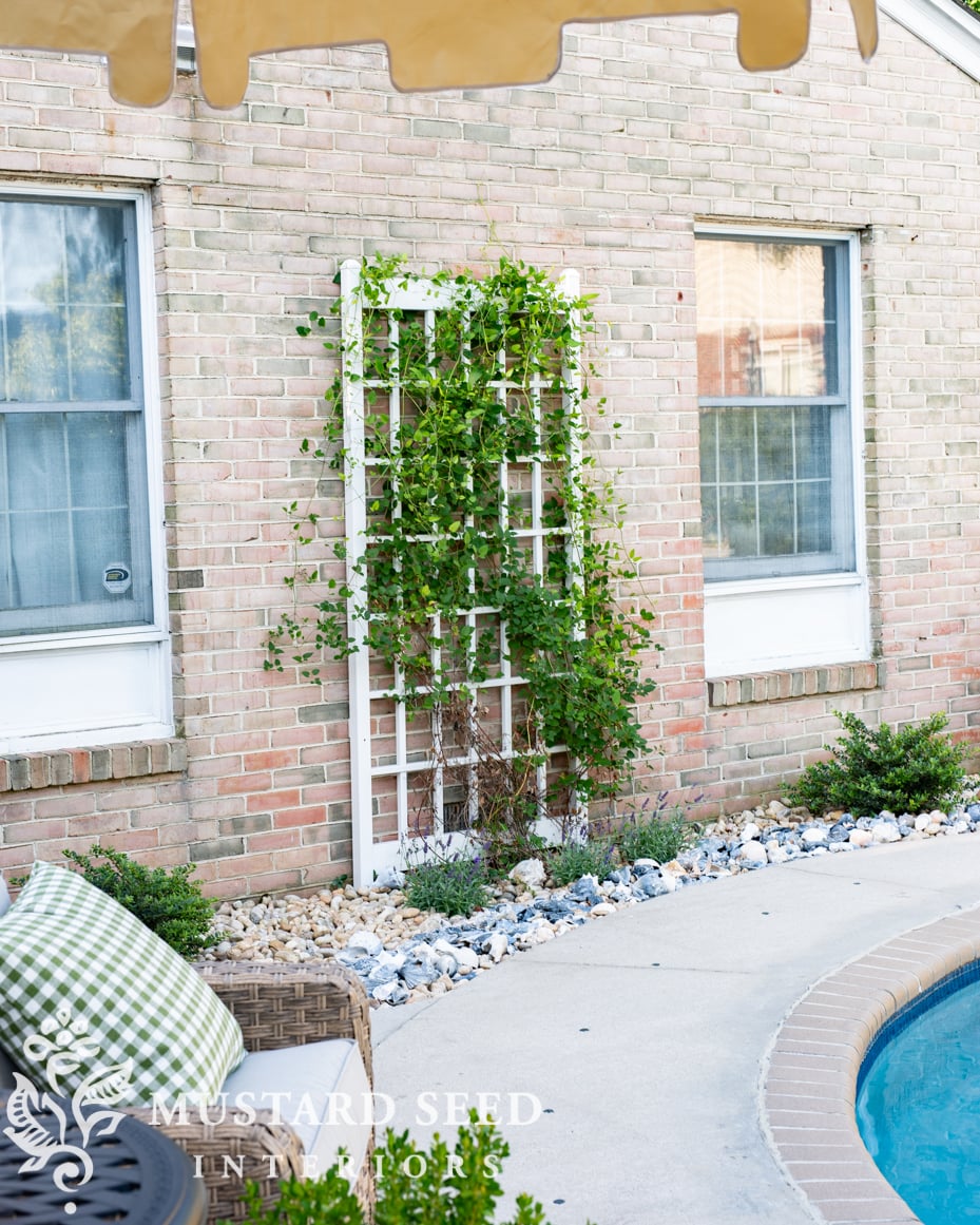 decorating with shells in the garden | miss mustard seed