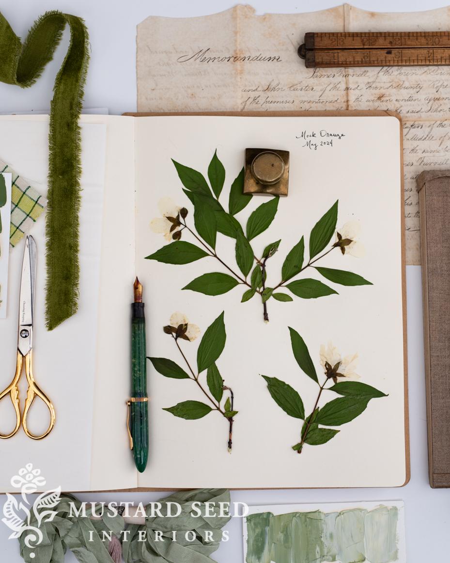 pressing flowers & mounting | miss mustard seed