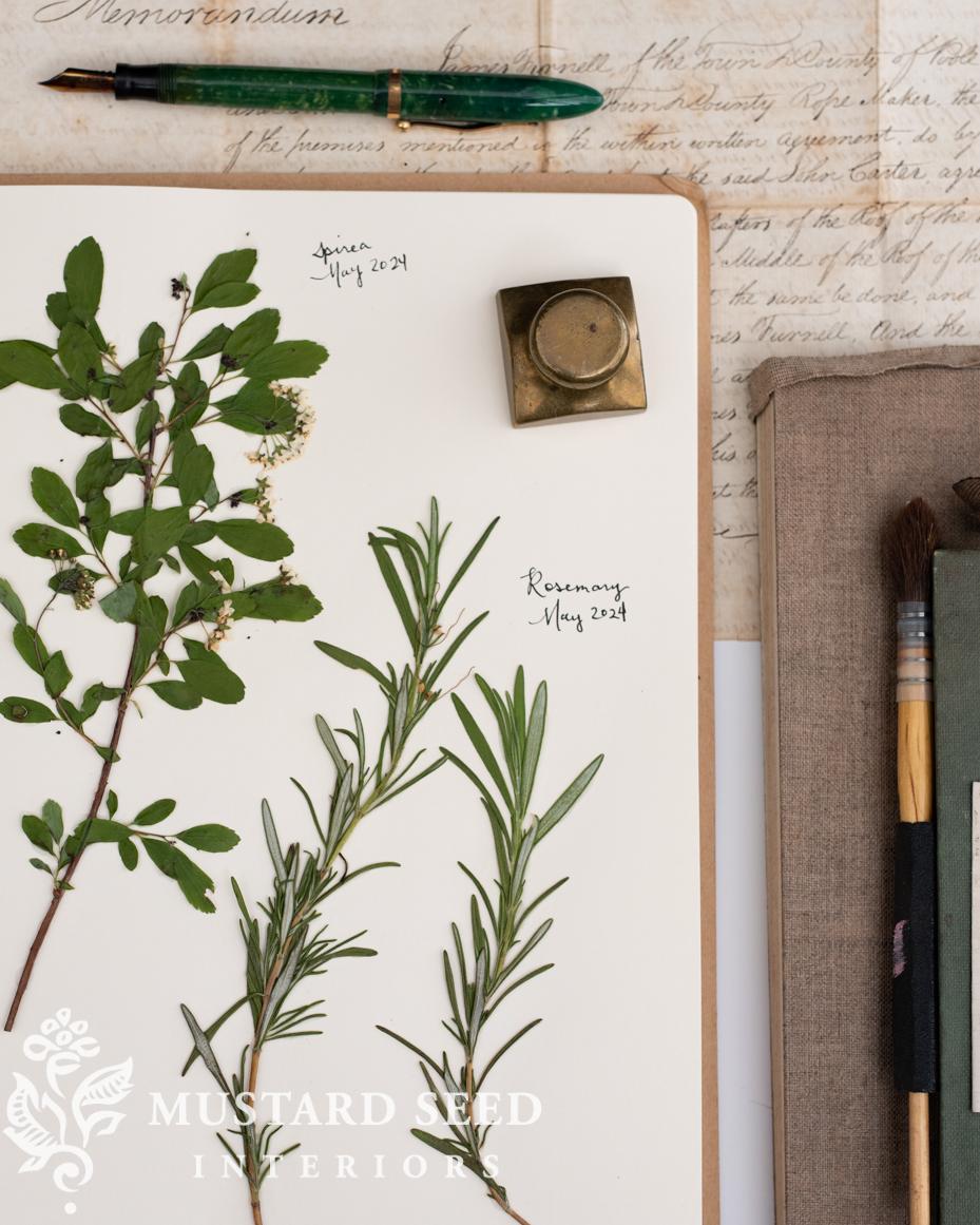 garden notebook | miss mustard seed