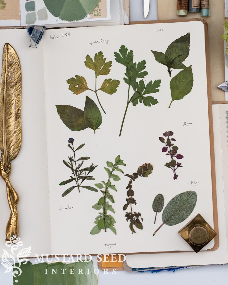 herbarium and gardening notebook | miss mustard seed