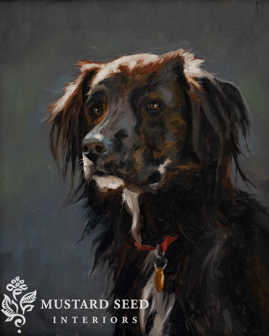 australian shepherd mix oil painting | miss mustard seed