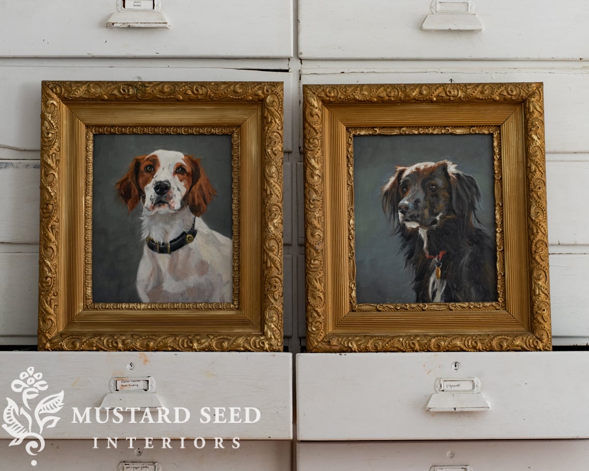 original oil painting | dog portrait | miss mustard seed | Marian Parsons fine art