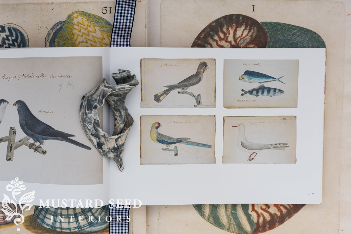 The Sea Journal | miss mustard seed