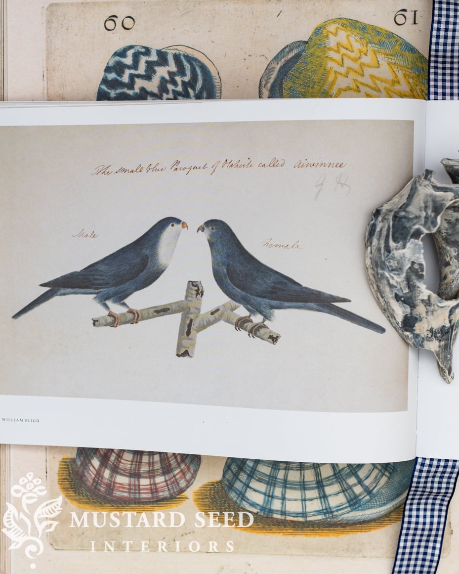 The Sea Journal | miss mustard seed