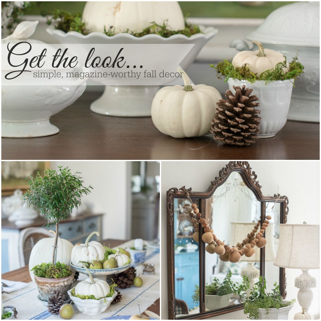 Fall Decor Collage