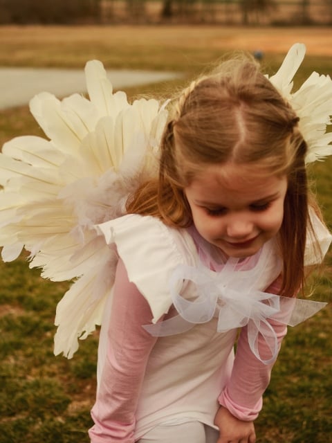 Feathered Wings - Beauty Shot 4 (480x640)