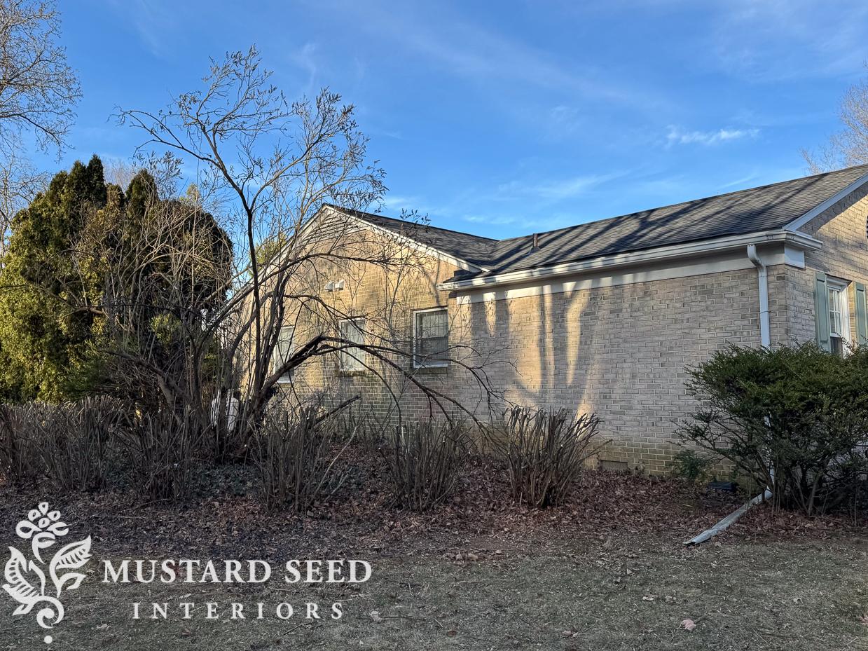 2025 yard clean-up | miss mustard seed