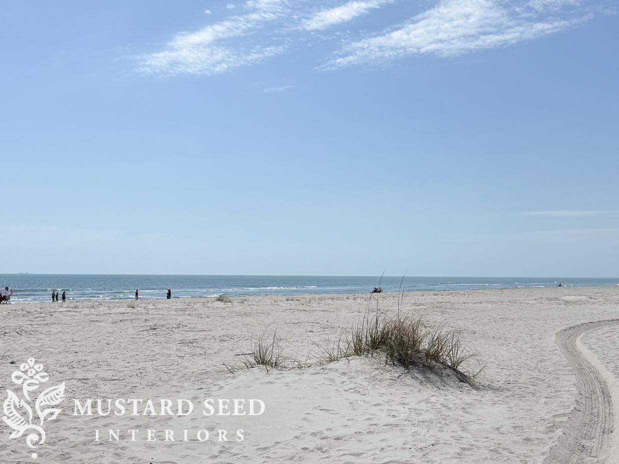 isle of palms shelling diaries | miss mustard seed