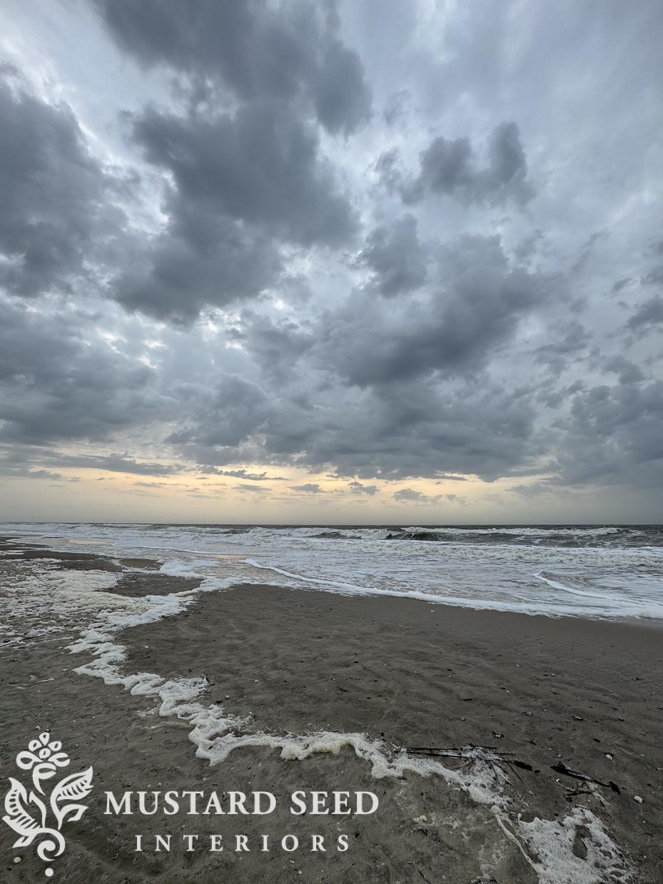 isle of palms shelling diaries | miss mustard seed