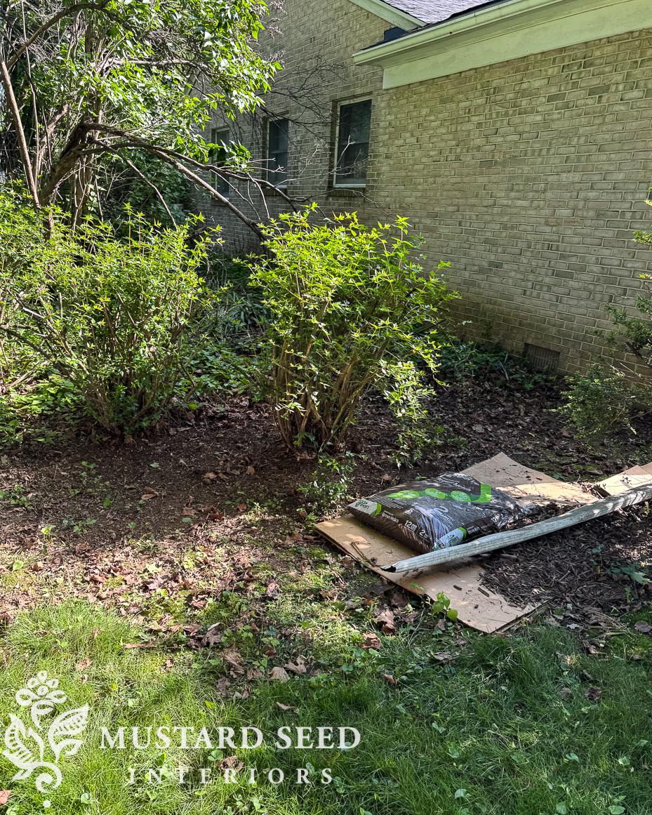 spring 2025 gardening | miss mustard seed