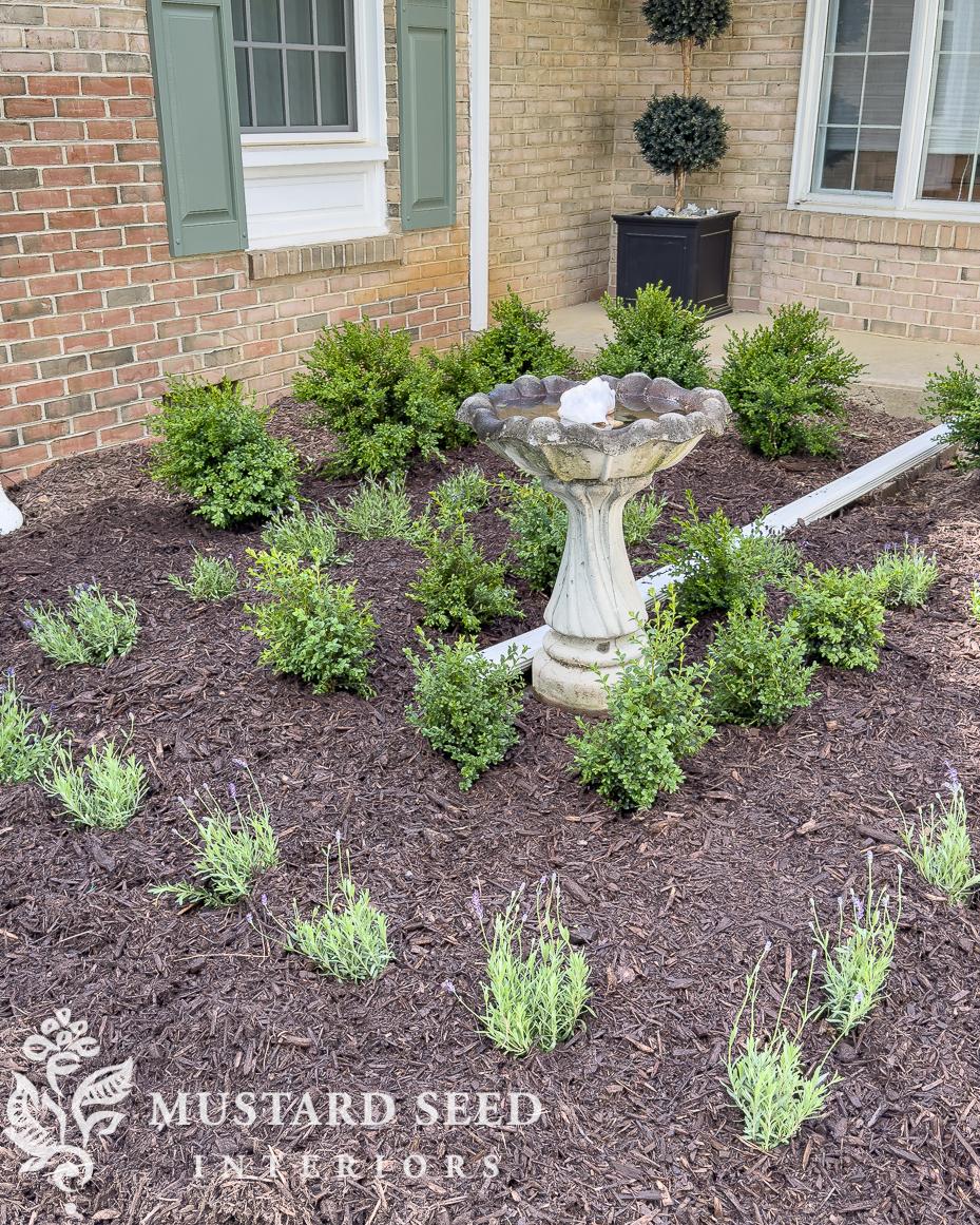 1970 home renovation front garden update | miss mustard seed