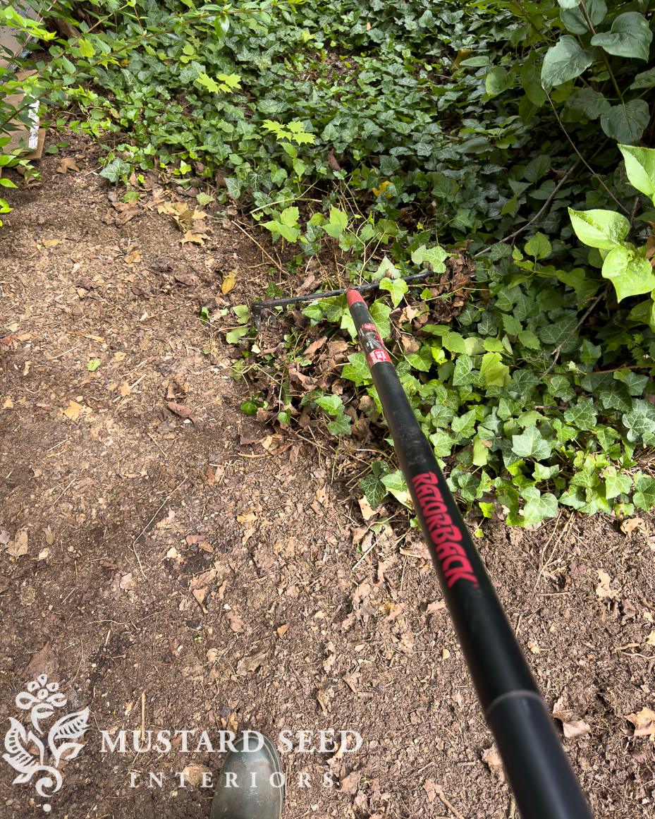 removing english ivy | miss mustard seed