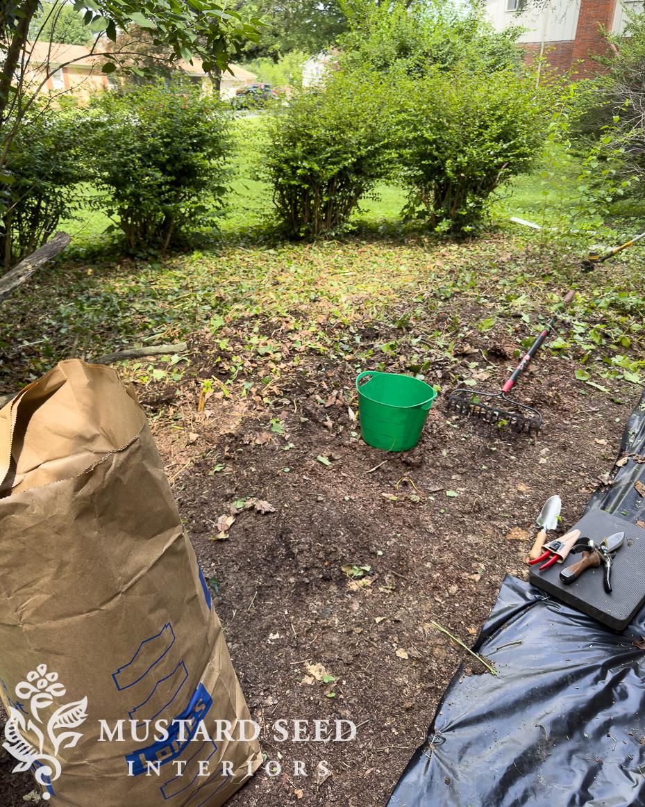 removing english ivy | miss mustard seed