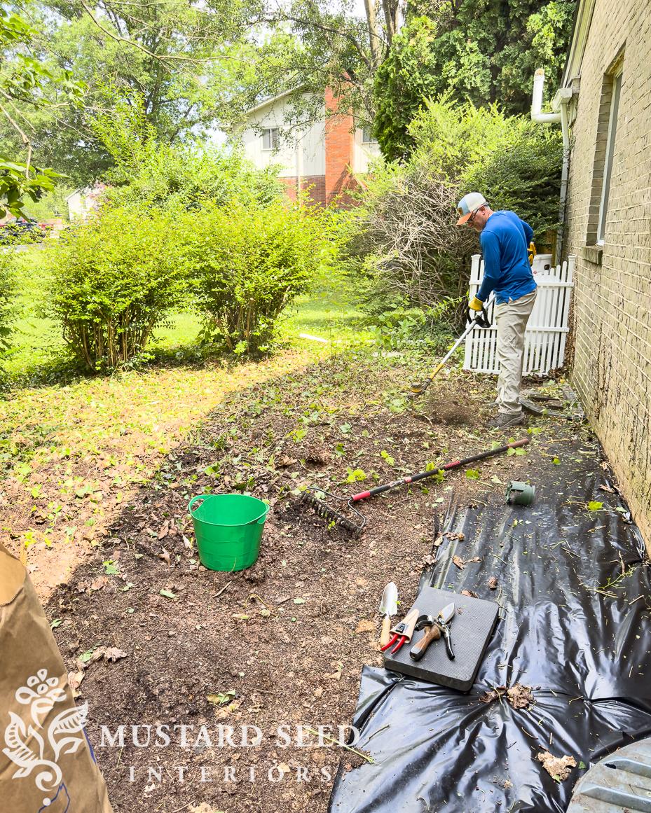 removing english ivy | miss mustard seed