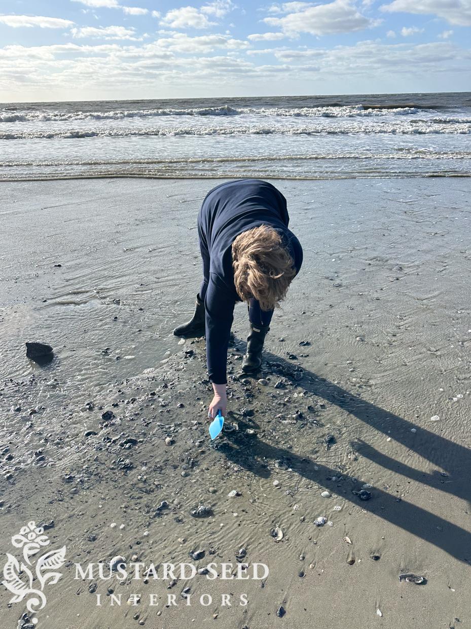 shelling at isle of palms | miss mustard seed
