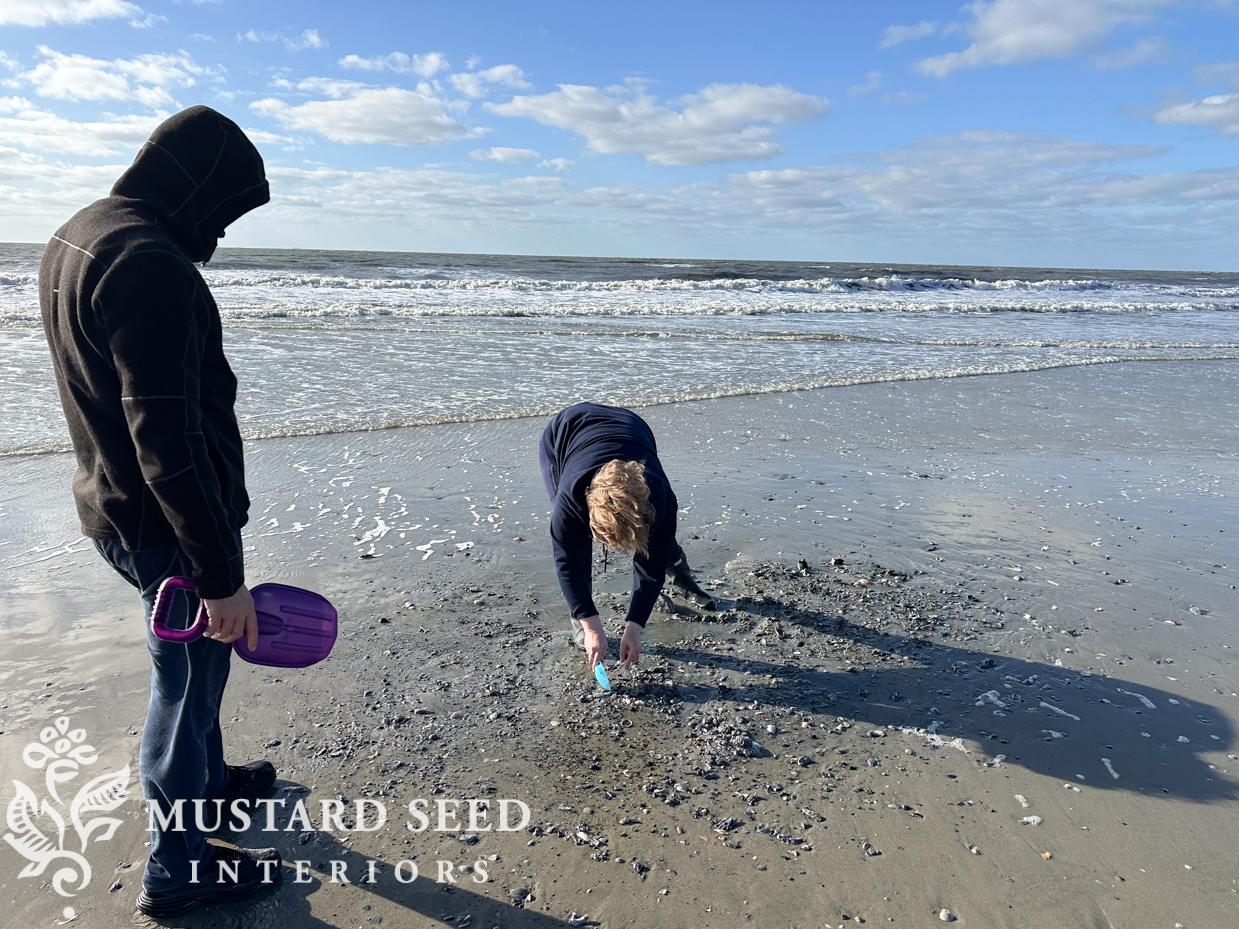shelling at isle of palms | miss mustard seed