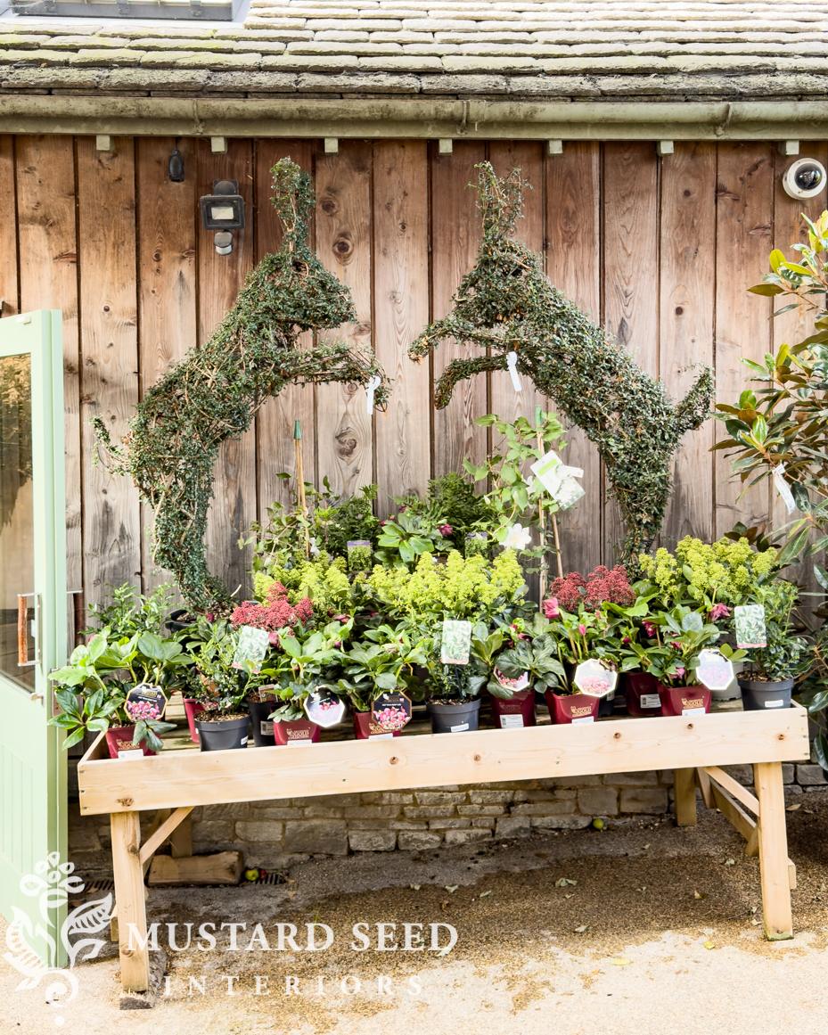 Daylesford Organic Farmshop | Cotswolds, England | miss mustard seed