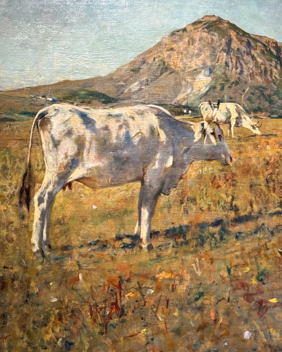 why I take pictures at art museums | miss mustard seed